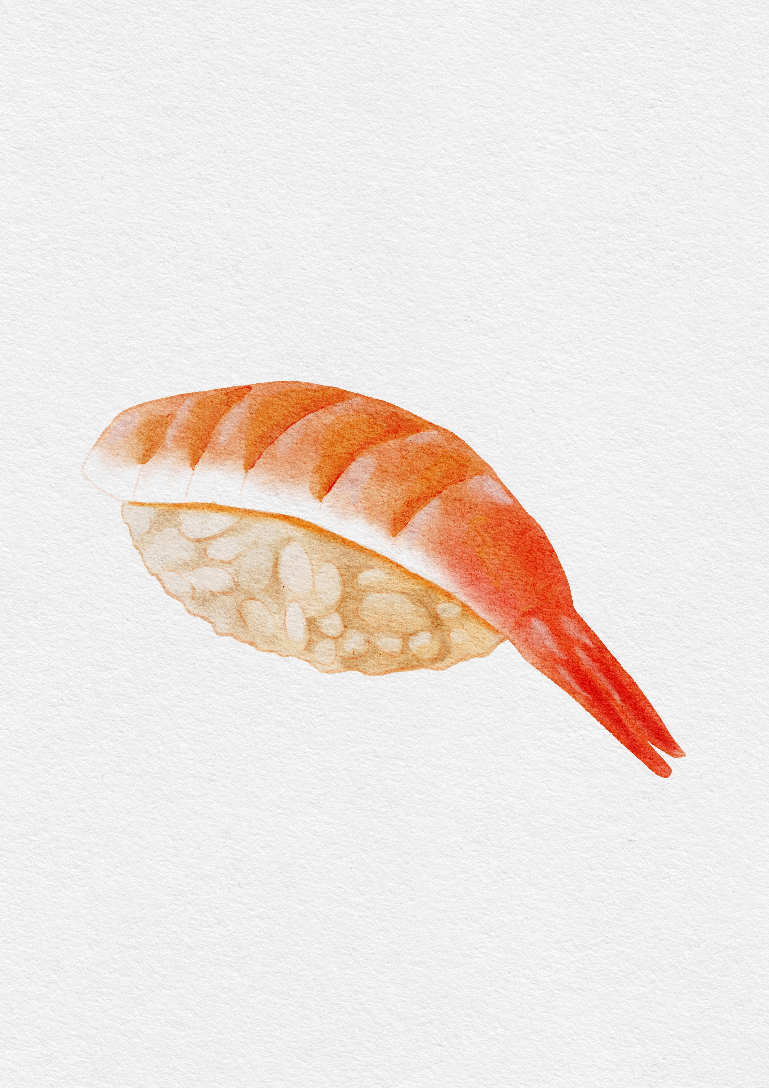Ebi Nigiri